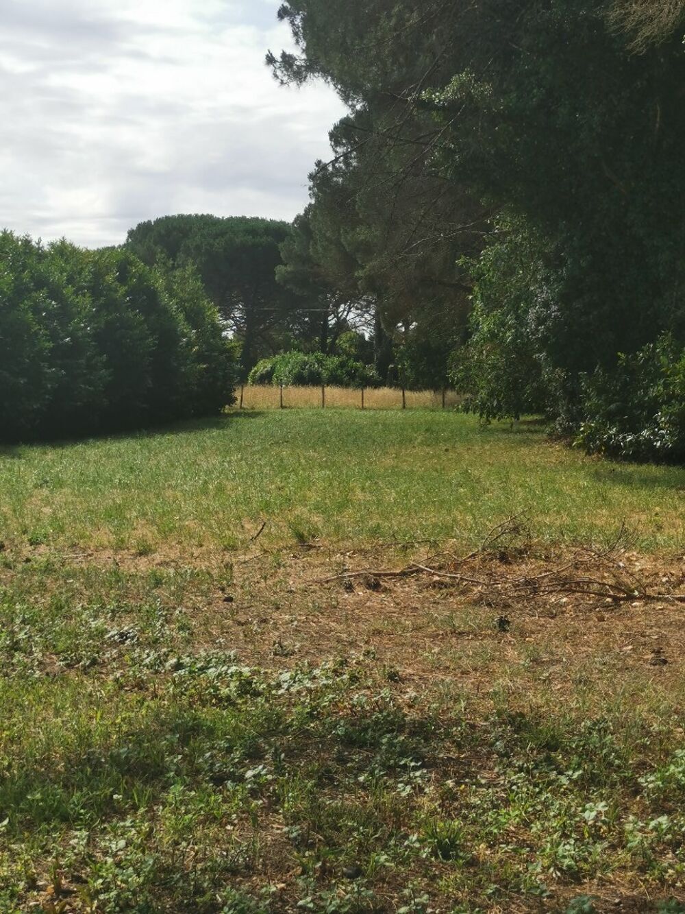 vente Terrain - 1030 m² Saint-Maixant (33490)