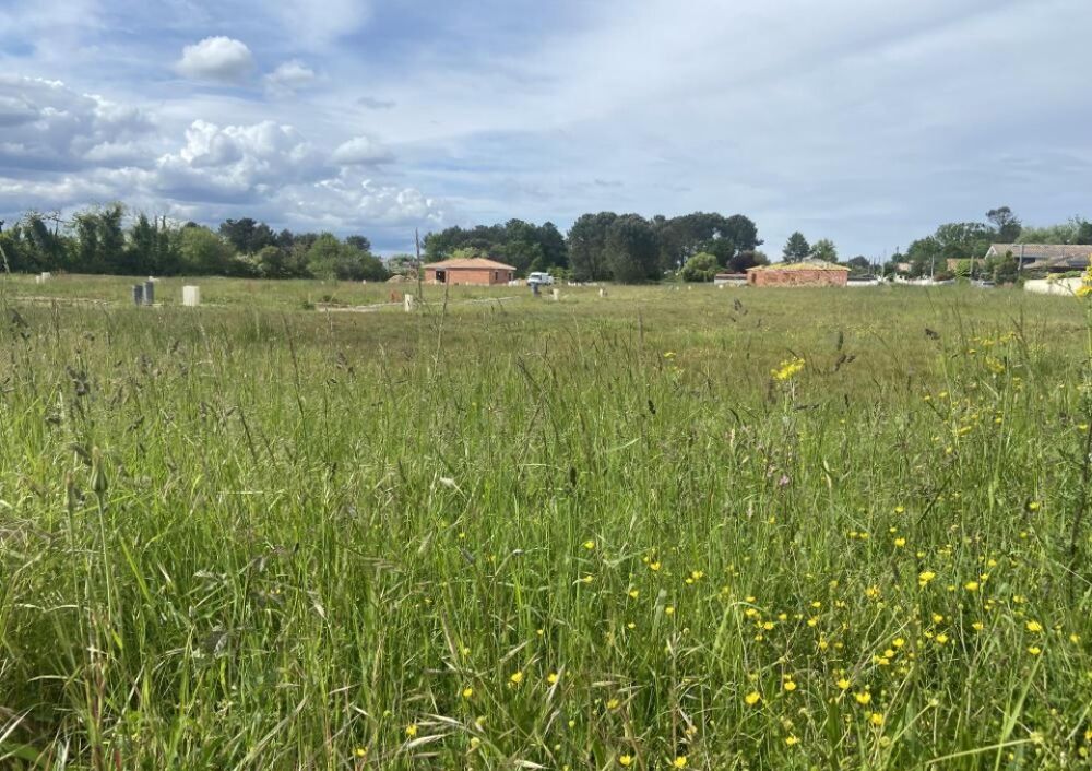vente Terrain - 515 m² Le Taillan-Médoc (33320)