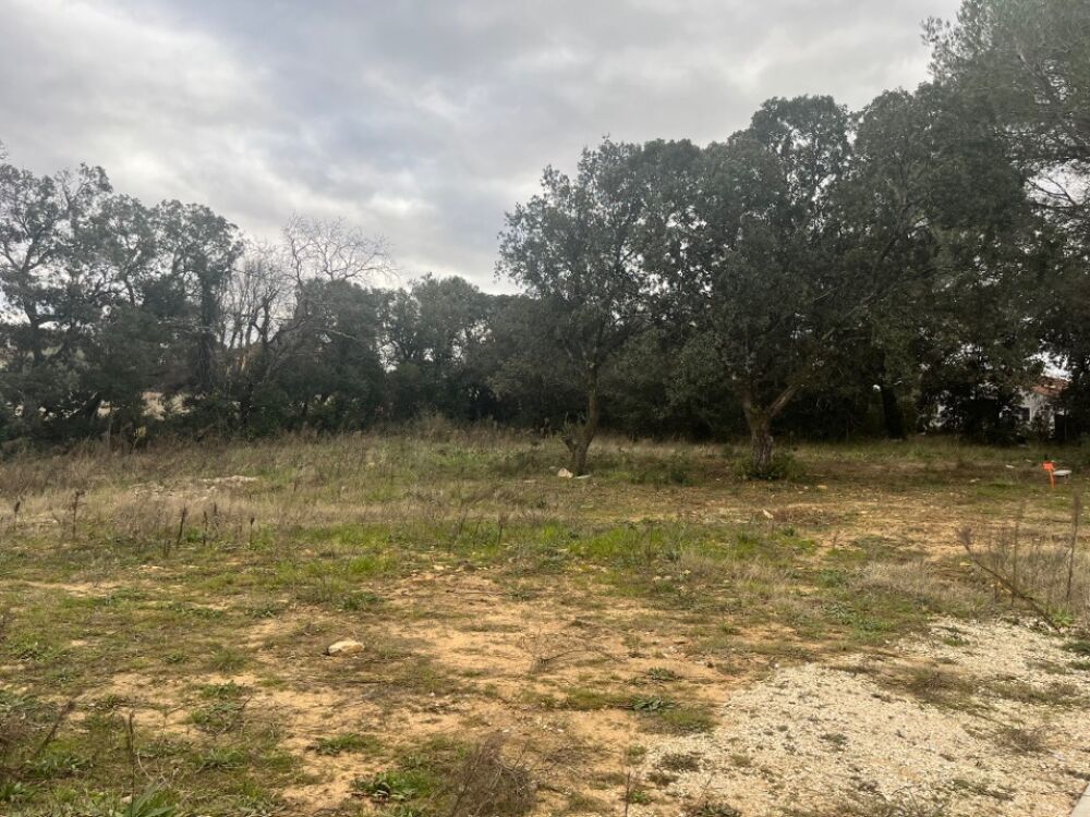 vente Maison - 4 pièce(s) - 93 m² Bollène (84500)