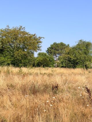  Terrain à vendre 505 m²