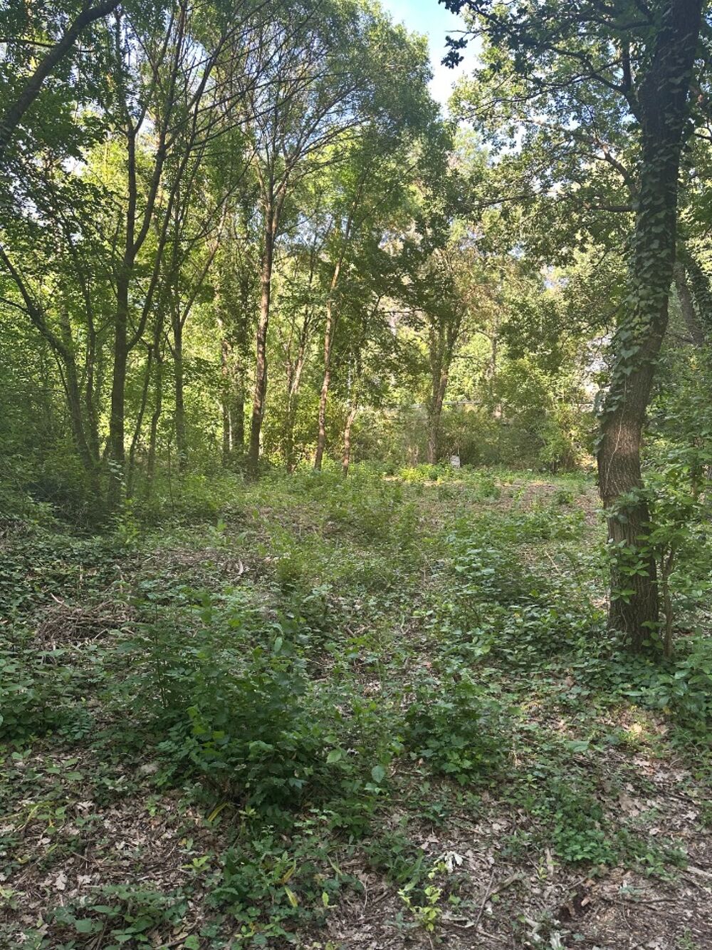 vente Terrain - 352 m² Fuveau (13710)