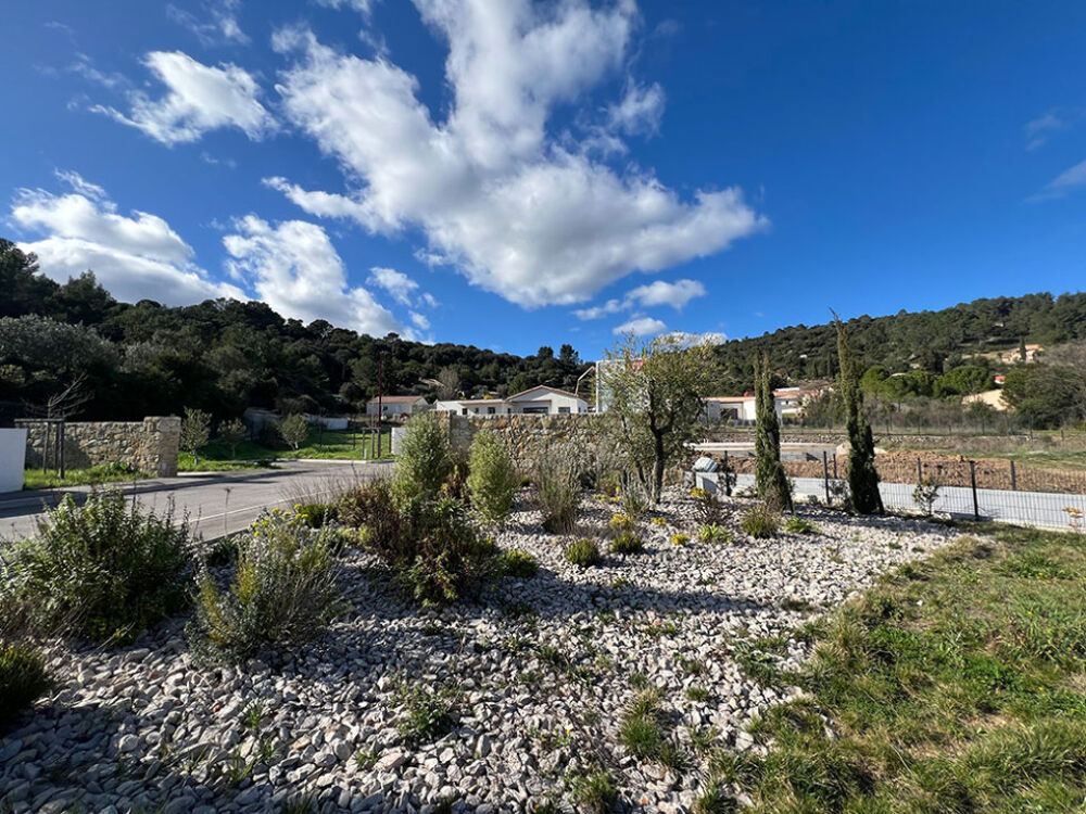 vente Terrain - 790 m² Clermont-l'Hérault (34800)