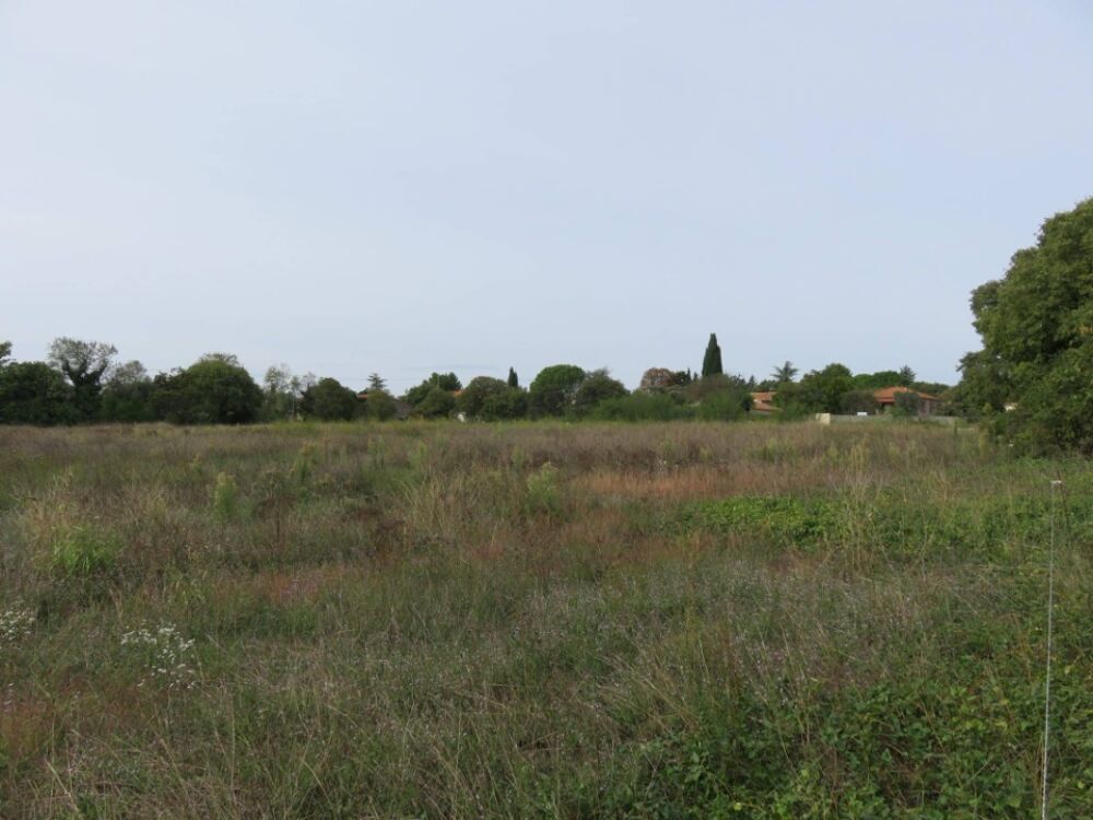 vente Terrain - 350 m² Garrigues-Sainte-Eulalie (30190)