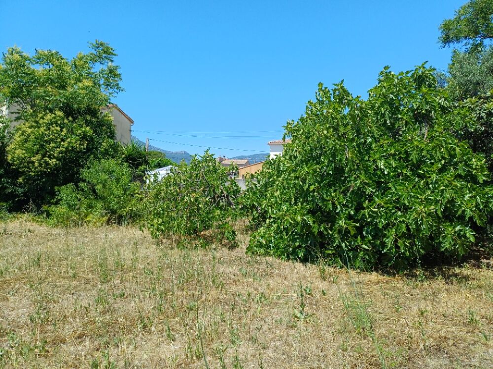 vente Terrain - 407 m² La Crau (83260)