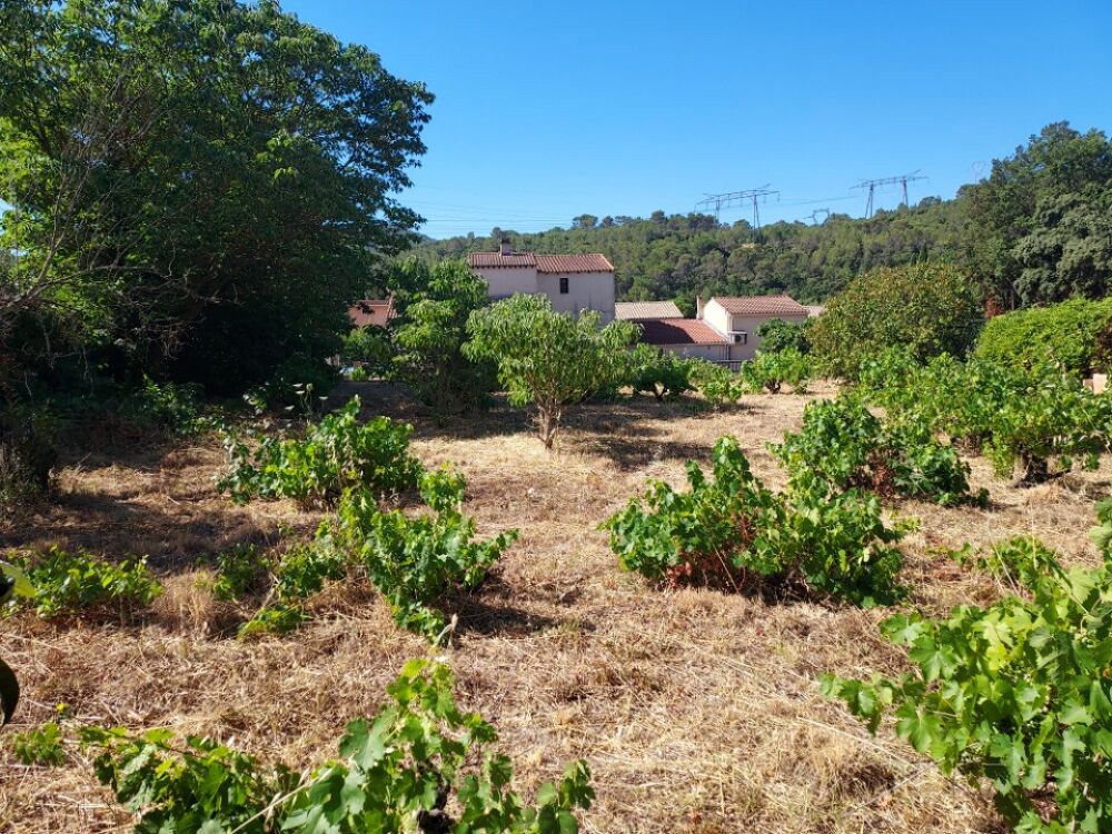 vente Terrain - 880 m² Sainte-Anastasie-sur-Issole (83136)