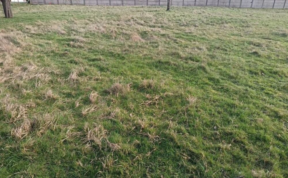 vente Terrain - 1001 m² Colletot (27500)