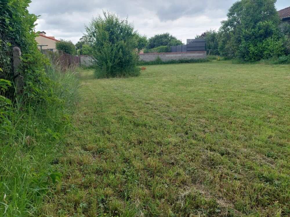 vente Maison - 6 pièce(s) - 125 m² Aucamville (31140)