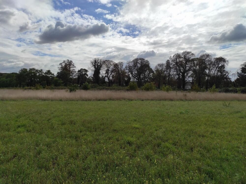 vente Terrain - 621 m² Rosny-sur-Seine (78710)
