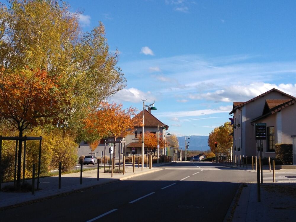 vente Terrain - 501 m² Rochetoirin (38110)