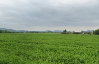  Terrain � vendre 1000 m�