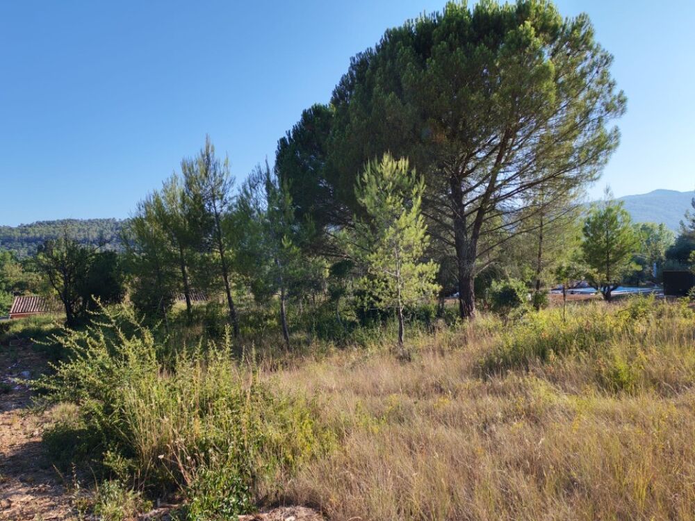 vente Terrain - 810 m² Camps-la-Source (83170)