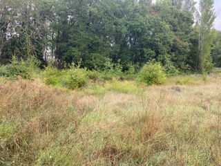  Terrain à vendre 400 m²