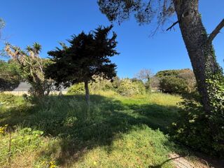  Maison à vendre 5 pièces 150 m²