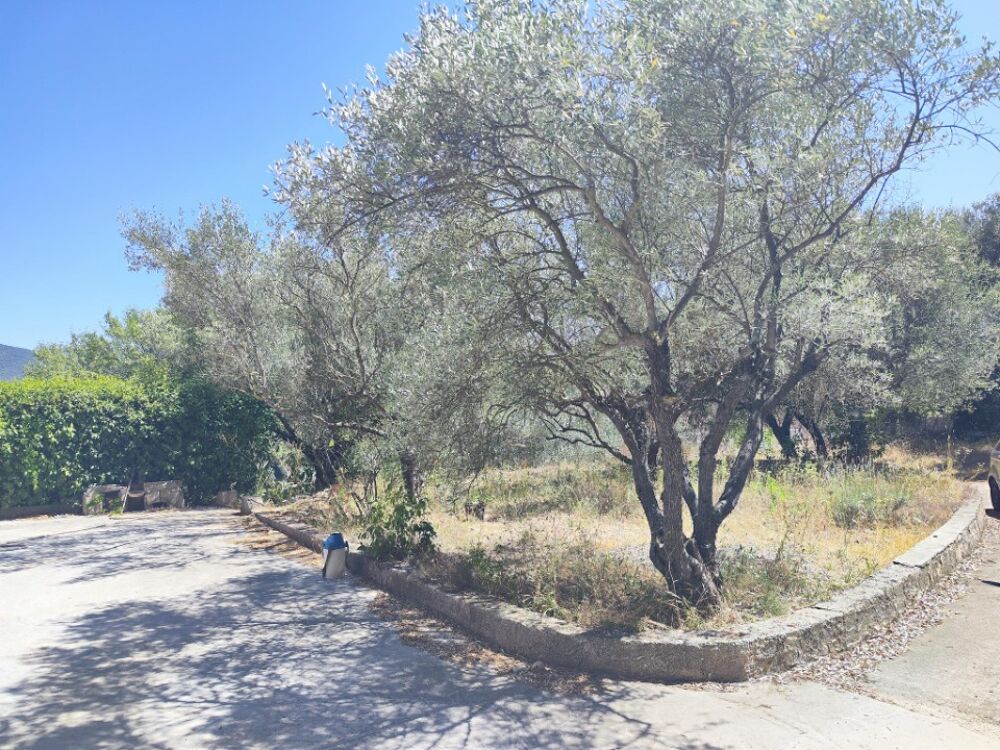 vente Terrain - 702 m� Pignans (83790)