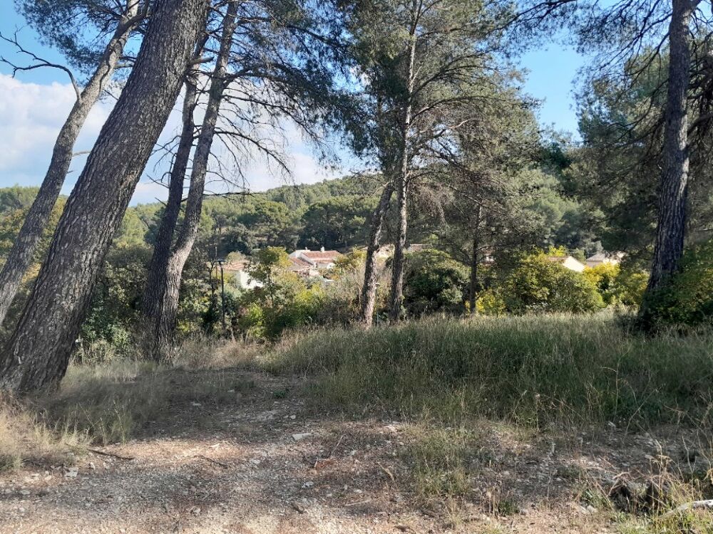 Magnifique terrain de 870 M2, au calme absolu, arboré et....