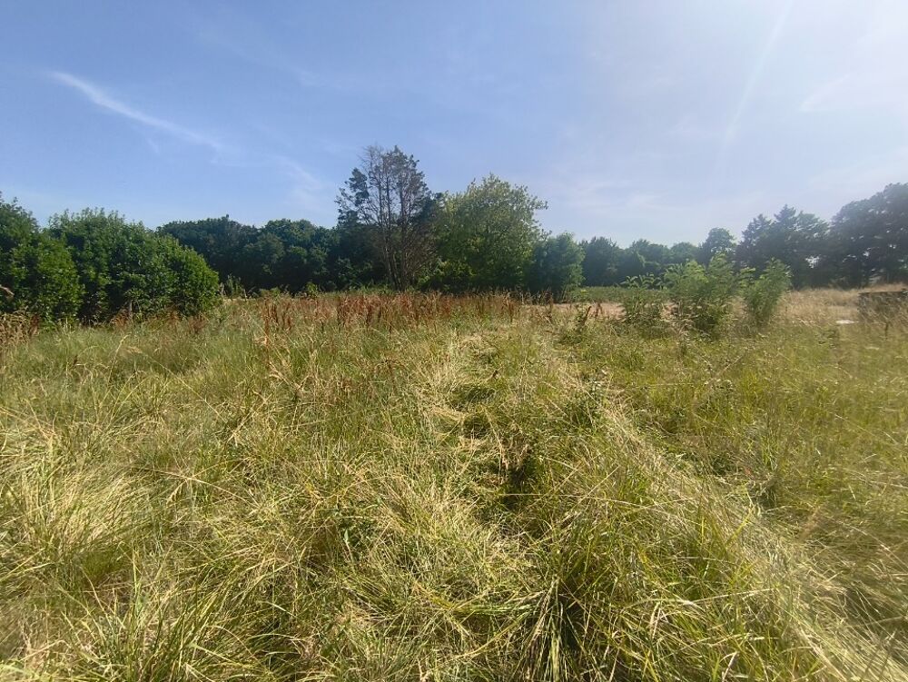 vente Terrain - 482 m² Médis (17600)