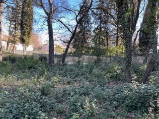  Terrain 614 m� Gr�asque