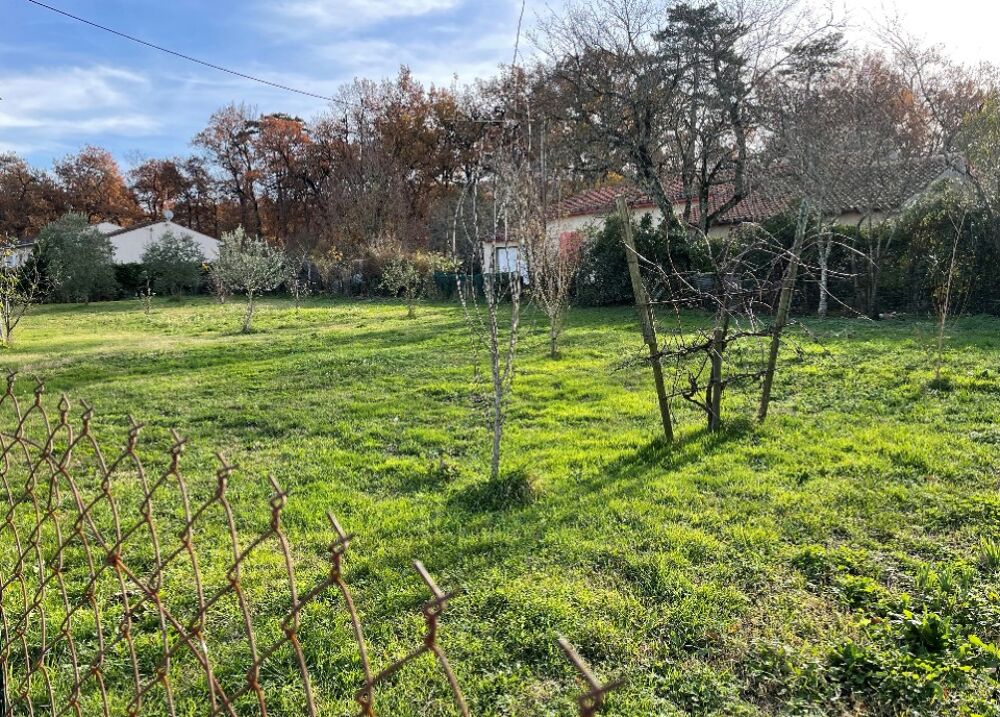 vente Terrain - 989 m² Revel (31250)