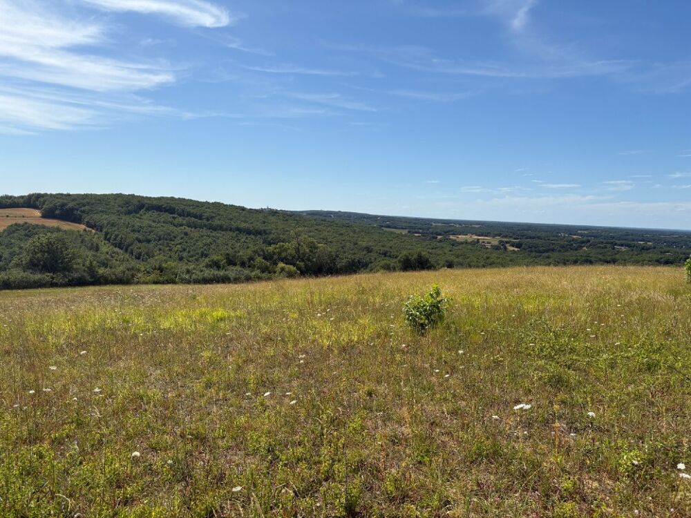 vente Maison - 4 pièce(s) - 90 m² La Magdelaine-sur-Tarn (31340)