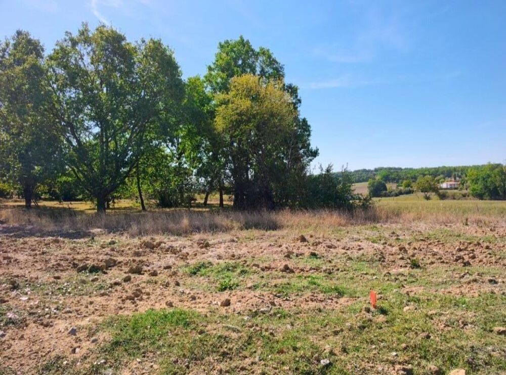 vente Terrain - 648 m² Cadalen (81600)