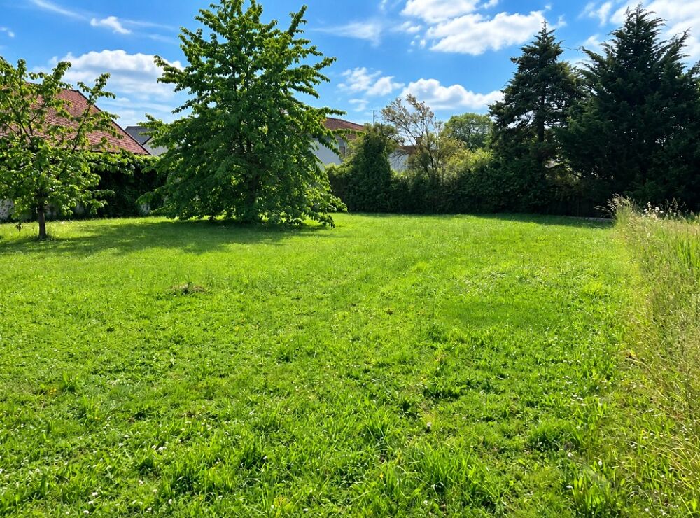 vente Terrain - 851 m² Crécy-la-Chapelle (77580)