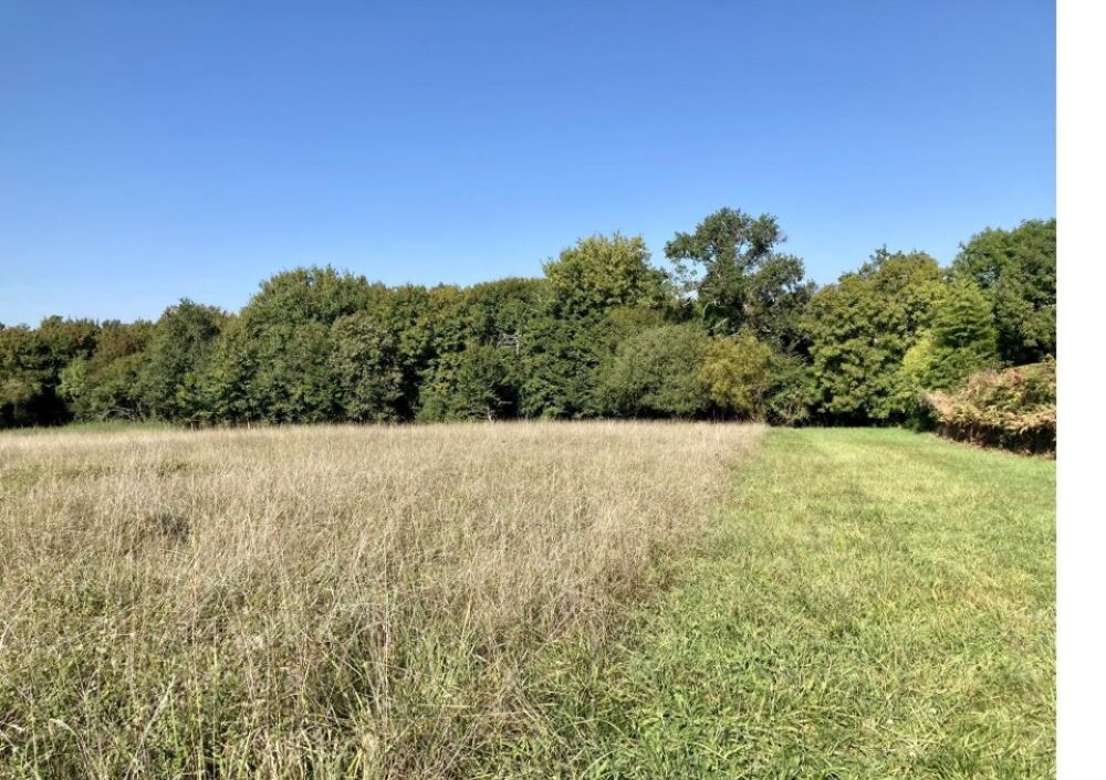vente Terrain - 950 m² Bouliac (33270)