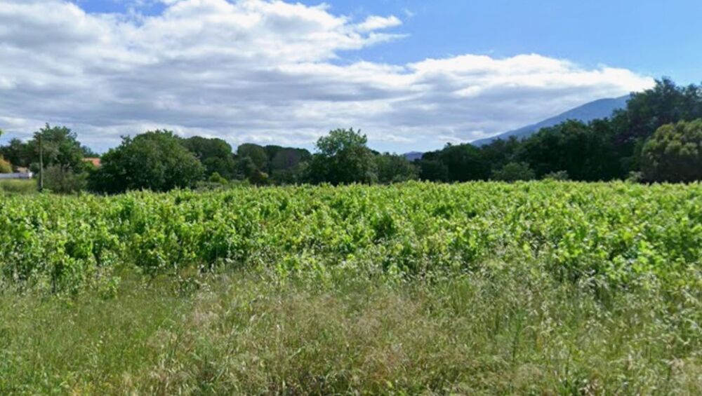 vente Terrain - 294 m² Saint-Jean-Pla-de-Corts (66490)