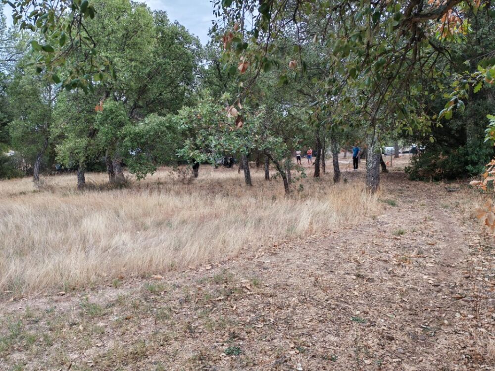 vente Terrain - 450 m² Le Cannet-des-Maures (83340)