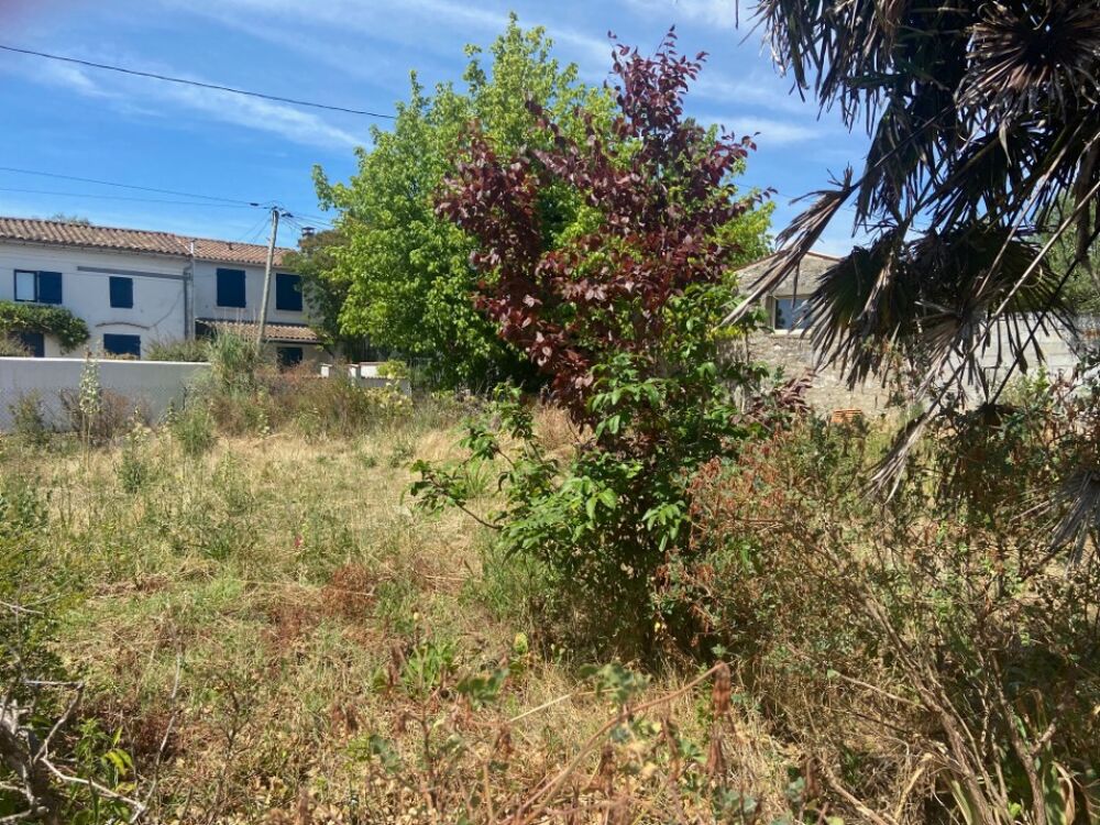 vente Maison - 4 pièce(s) - 85 m² Breuillet (17920)