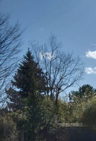  Terrain � vendre 340 m�