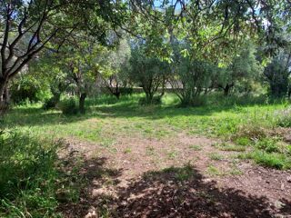  Terrain 449 m� Cuers