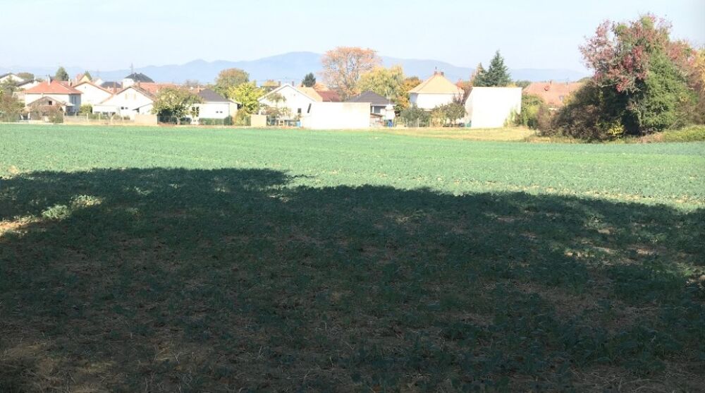 vente Terrain - 441 m² Morschwiller-le-Bas (68790)