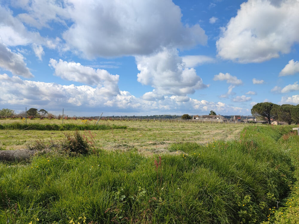 vente Terrain - 800 m² Omet (33410)