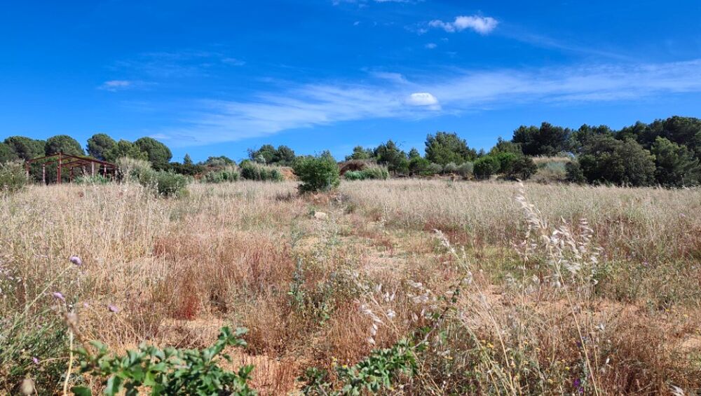 vente Terrain - 267 m² Salles-d'Aude (11110)