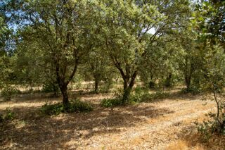  Terrain � vendre 653 m�