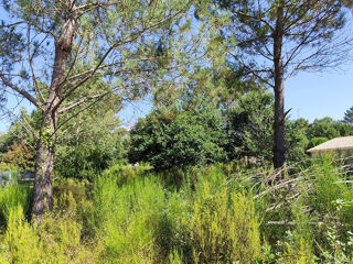  Terrain à vendre 750 m²