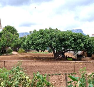  Terrain � vendre 500 m�