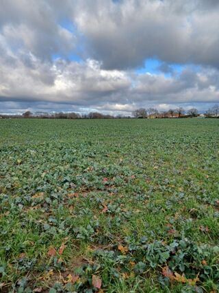  Terrain 289 m� La garnache