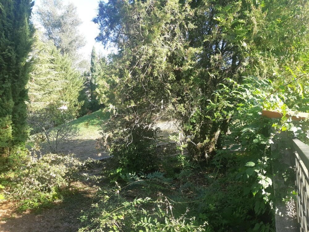 vente Maison - 5 pièce(s) - 103 m² Montrabé (31850)