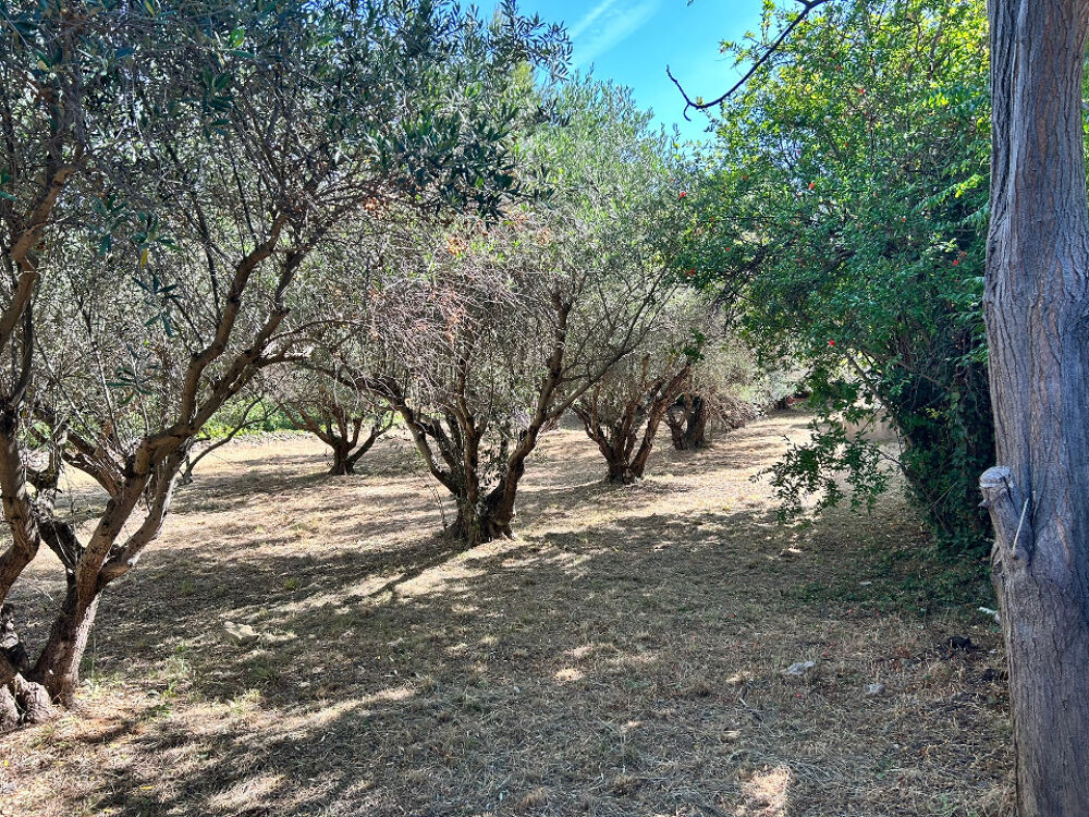 vente Terrain - 316 m² Saint-Jean-de-Fos (34150)