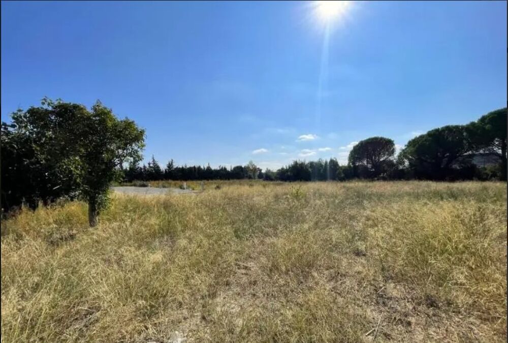 vente Terrain - 1372 m² Lézignan-Corbières (11200)