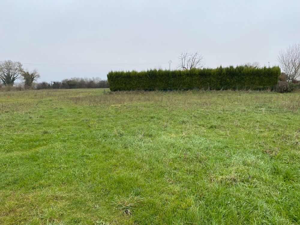 vente Terrain - 989 m² Champagne (17620)