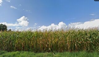  Terrain � vendre 764 m�