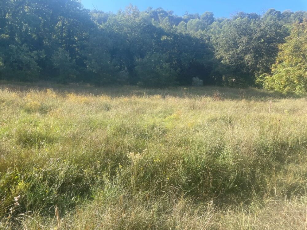 vente Maison - 5 pièce(s) - 110 m² Alleins (13980)