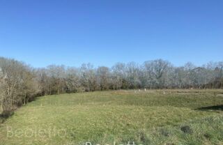  Terrain � vendre 980 m�