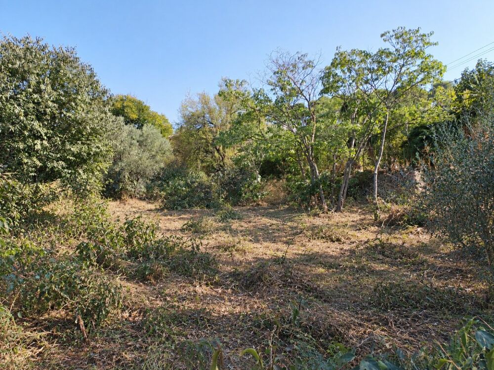 vente Terrain - 290 m² Toulon (83000)
