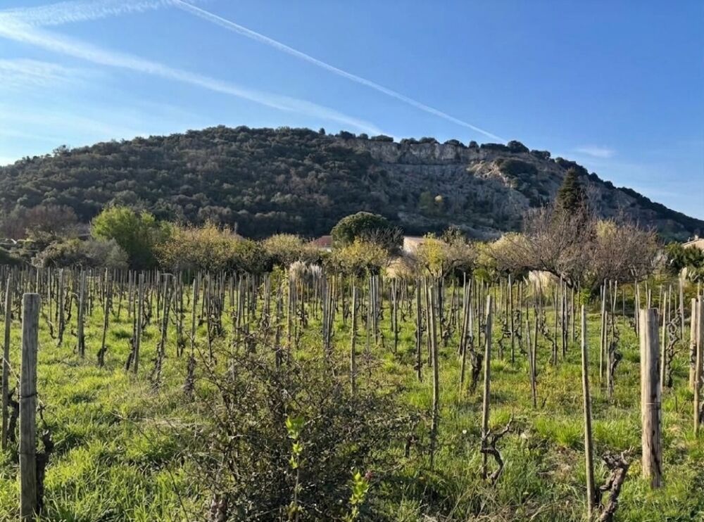 vente Maison - 6 pièce(s) - 125 m² Cornas (07130)