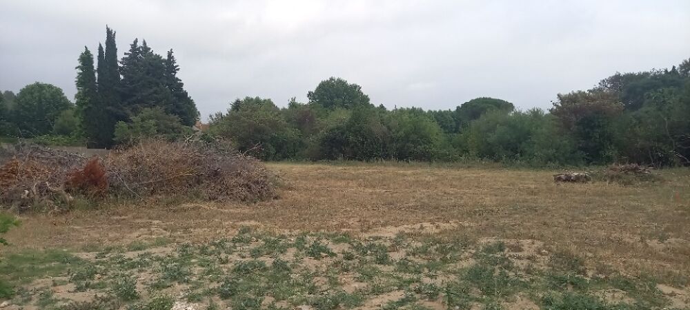 vente Terrain - 617 m² Ornaisons (11200)