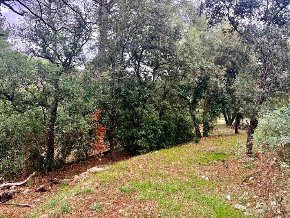 vente Terrain - 1025 m² Aubagne (13400)
