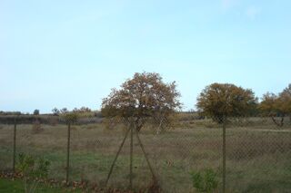 Terrain à vendre 215 m²